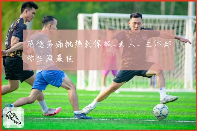 范德芬痛批热刺保级_丢人_ 主帅却称生涯最佳